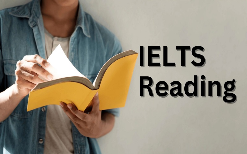 luyện tập ielts Reading